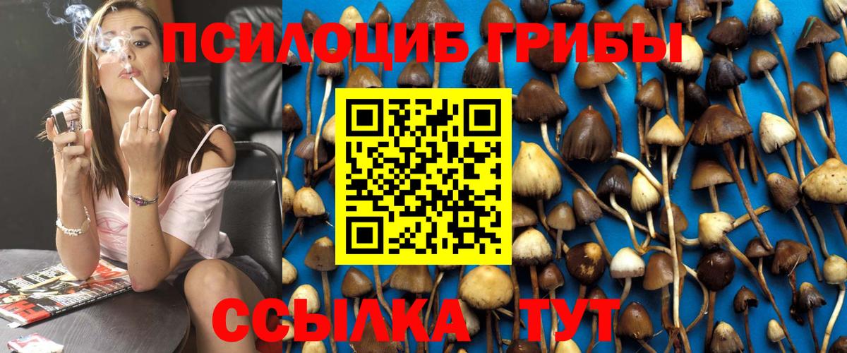 Псилоцибиновые грибы ЛСД Сегежа